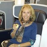 Profile Picture of Anita Cavallaro Finkelstein (@anitafinkelstein) on Instagram