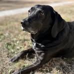 Profile Picture of Paula Dugger (@paula.dugger.16) on Facebook