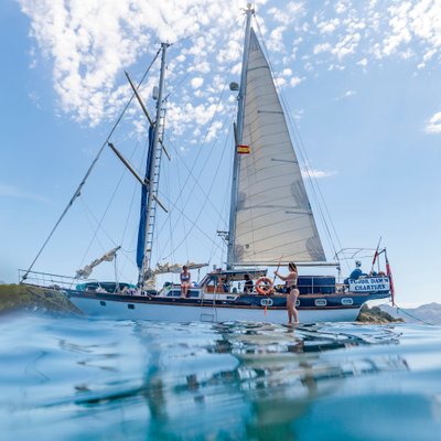Profile Picture of Tudor Dawn Charters (@ChartersDawn) on Twitter