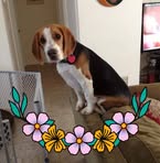 Profile Picture of Maxine Watts (@maxine.watts) on Facebook