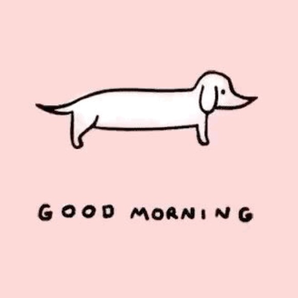 Profile Picture of Laura Critchett (@lcritchett) on Poshmark