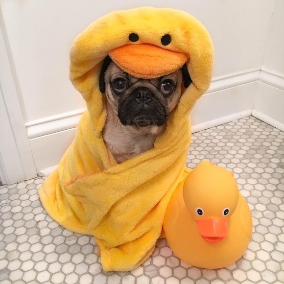 Profile Picture of Gavin Windes (@gavinwindes29) on Poshmark