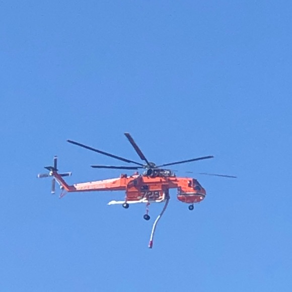 Profile Picture of Will Bradley (@will1236) on Poshmark