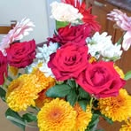 Profile Picture of Doris Coates (@Doris-Coates) on Facebook