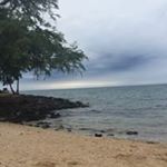 Profile Picture of Anita Randall-Packer (@kolohemonkey88) on Instagram