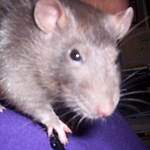 Profile Picture of Alanna Mozzer (@alannajm1) on Flickr