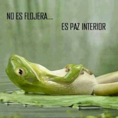 Profile Picture of Edgardo Quintero Y (@EQuinteroy) on Twitter