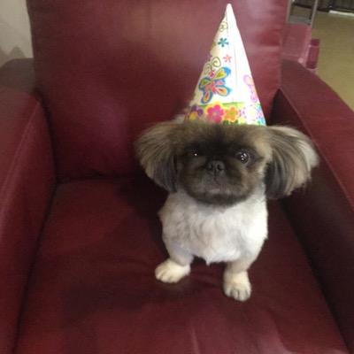 Profile Picture of Richard Osuna (@Osuna1Richard) on Twitter