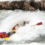 Profile Picture of Aaron  Holly Nissen (@nissenh) on Instagram