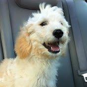 Profile Picture of Michael Kasper (@TheHauntedApparition) on Youtube