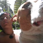 Profile Picture of DANIEL GARCÍA (@daniel_y_venus) on Instagram