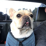 Profile Picture of Allen Grant (@AllenGrant411) on Youtube