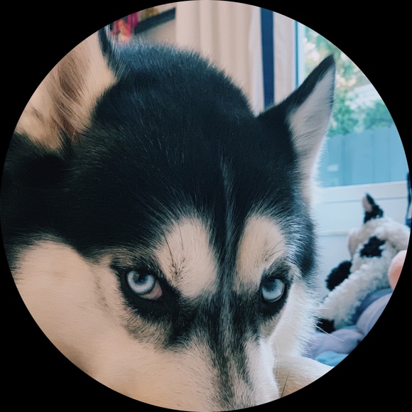 Profile Picture of Bianca Estevez (@bestevez21) on Poshmark