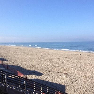 Profile Picture of Jane Engles (@jengles49) on Twitter