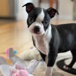 Profile Picture of Sandra Gariepy (@sandra.gariepy.1) on Facebook