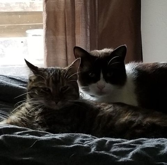 Profile Picture of Lisa Carroll (@lisacarroll926) on Poshmark