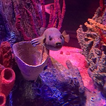 Profile Picture of Alter Buffenn (@alter.buffenn@rocketmail.com) on Flickr