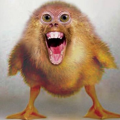 Profile Picture of Ryan Stubbs (@ryanstubbs01) on Twitter