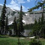 Profile Picture of LaSonja Brady (@lasonjabrady) on Instagram