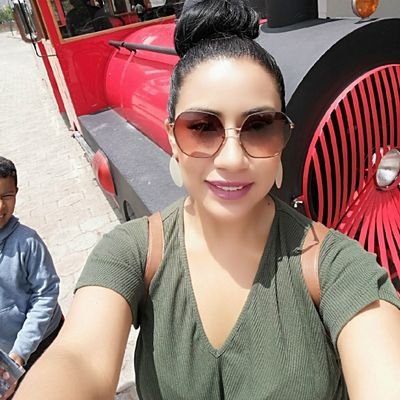 Profile Picture of Diana Elizalde (@DianaEl63878160) on Twitter