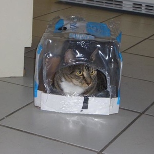 Profile Picture of Nichole Parsons (@1ukfannp) on Myspace