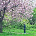 Tomas Dearden - Instagram Profile Picture of Tomas Dearden (@tomydearden) on Instagram