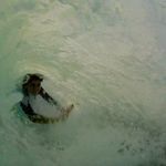 Profile Picture of Eli Silberman (@eli._.privvv) on Instagram