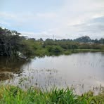 Profile Picture of Justin Uche (@justin.uche.2025) on Facebook