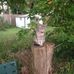 Profile Picture of Jeff Mcconkey (@jeff.mcconkey.902) on Facebook