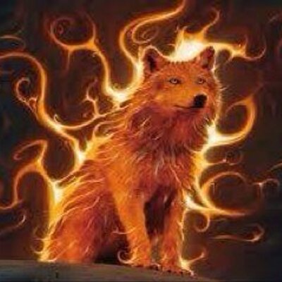 Profile Picture of Mike Allen Kreitz (@allenkreitz) on Twitter