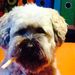Profile Picture of Andreas Schröder (@as465) on Pinterest