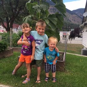 Profile Picture of Mandy Dahlman (@cecily83) on Pinterest