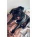 Profile Picture of Pauline Barron (@pauline.barron.1485) on Facebook
