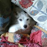 Profile Picture of Sandra Paul (@sandra.paul.26) on Instagram