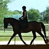 Profile Picture of Deborah Mitchell (@deborah-mitchell-15) on Quora