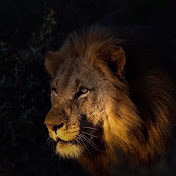 Profile Picture of Byron Swart (@byronswart6199) on Youtube