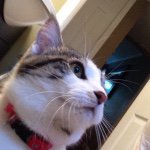 Profile Picture of Justin Neiman (@justinneiman0.4) on Instagram