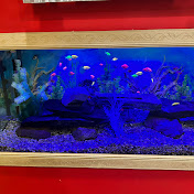 Colette Davis - Youtube Profile Picture of Colette Davis (@colettedavis1399) on Youtube