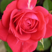 Profile Picture of Monique Campos (@moniquecampos631) on Youtube