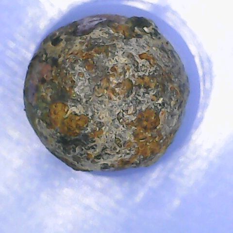 Profile Picture of Robert Hands (@robmanos) on Tiktok