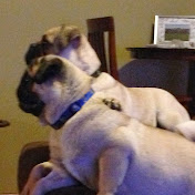 Profile Picture of Adam Dick (@adamdick1000) on Youtube