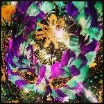 Lisa Chumney - Instagram Profile Picture of Lisa Chumney (@toughywoughy) on Instagram