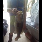 Profile Picture of Ryan K (@kefferryan) on Instagram
