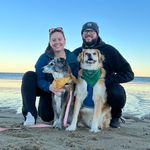 Alex Tucci - Instagram Profile Picture of Alex Tucci (@gucci_tucci) on Instagram