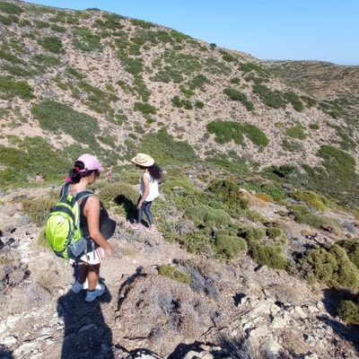 Profile Picture of Roza Chatzigeorgiou (@rosa23055056) on Twitter