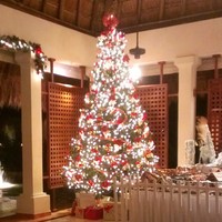 Profile Picture of Julia Webster (@julia-webster-1) on Quora