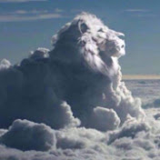 Profile Picture of Hutkay Andrea (@hutkayandrea5621) on Youtube