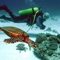 Profile Picture of Peter L. Dy (@peter-l-dy) on Quora