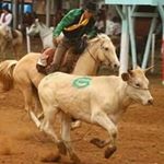 Profile Picture of Joao Marschalk (@jh_marschalk) on Instagram