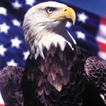 Profile Picture of Brian Root (@bdroot72) on Instagram